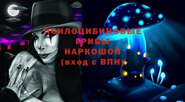 соль ск Богданович
