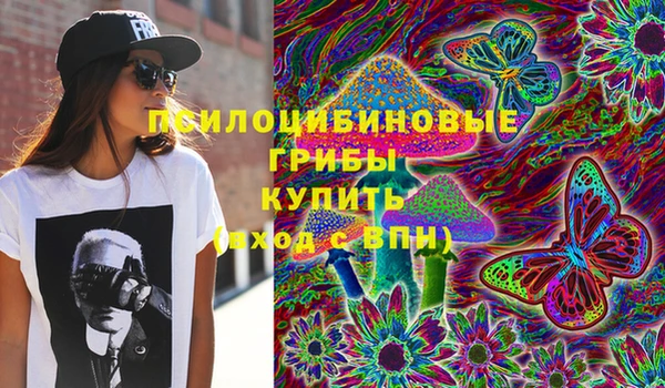 мдма Богородицк
