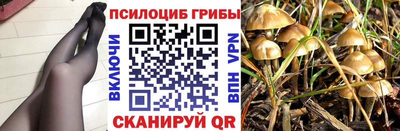 купить   hydra ссылки  Псилоцибиновые грибы MAGIC MUSHROOMS  Красноармейск 